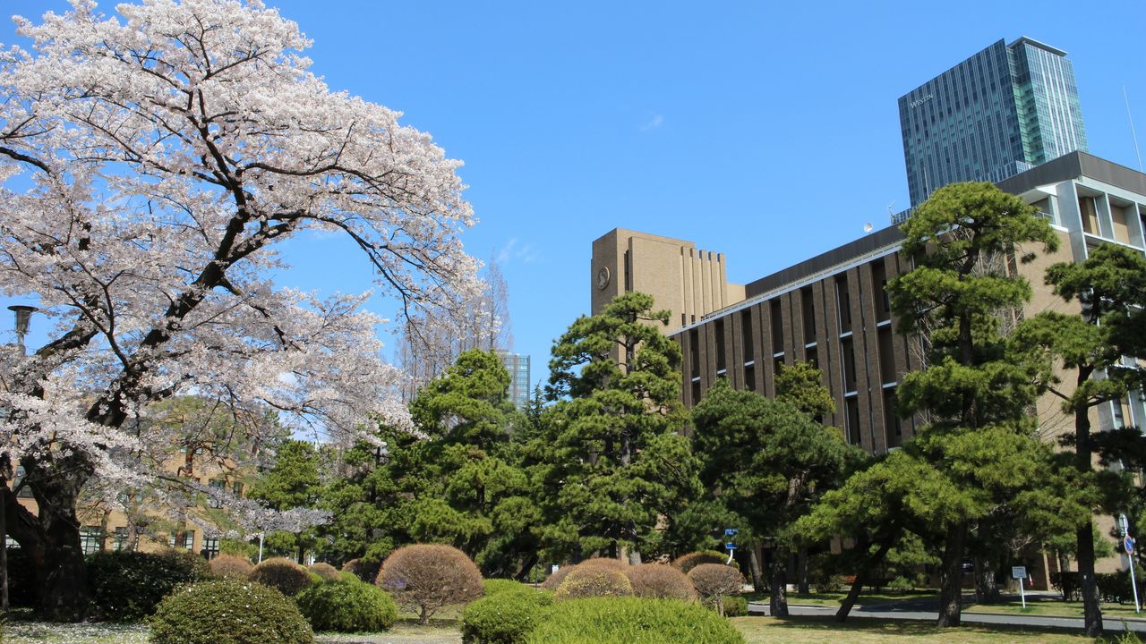 Japanese Universities EDA